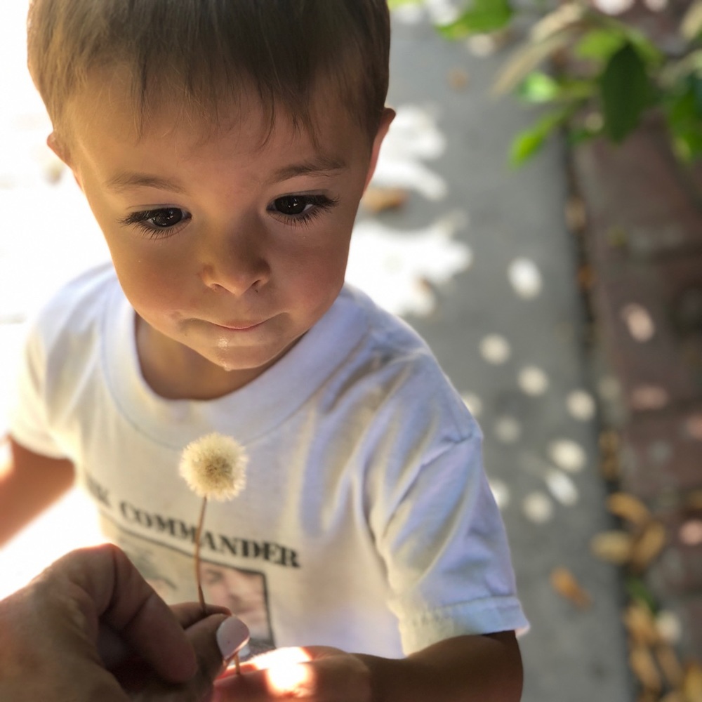 Meet your Posher, Bonnie